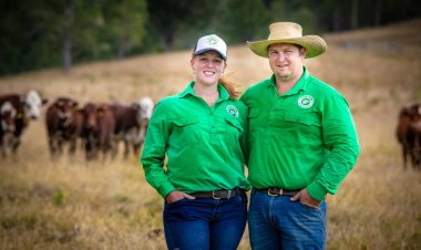 Our Cow - New South Wales- Fresh Farm Meat