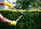 Top 4 Gardening Businesses - Sydney