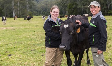 Benmar Farm- New South Wales