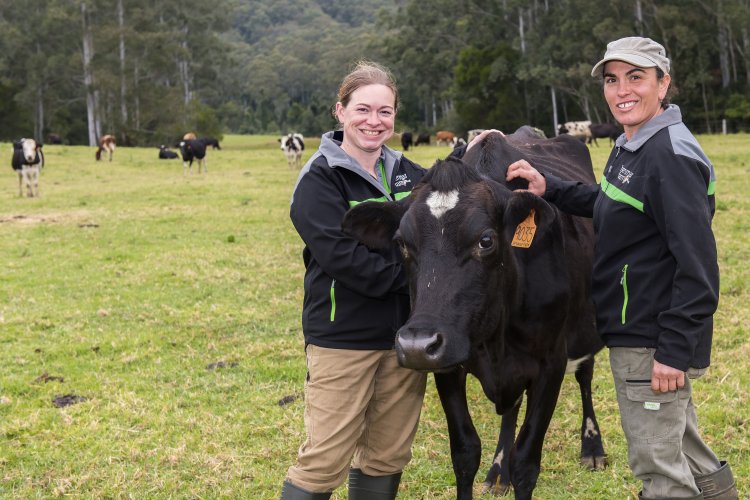 Maxmar Farm Benmar Farm- New South Wales - Mr.Biller- News Magazine