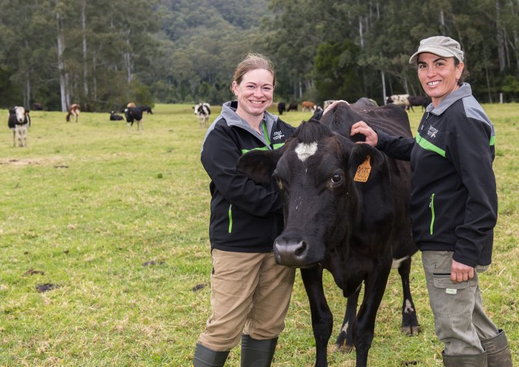 Benmar Farm- New South Wales